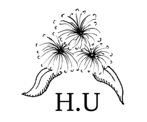 H.U.draws